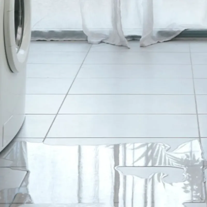 Appliance Leak Cleanup in Outagamie County, WI