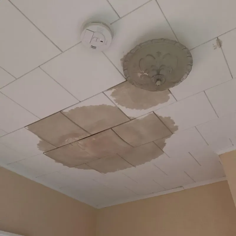 Ceiling Water Damage Repair in Outagamie County, WI