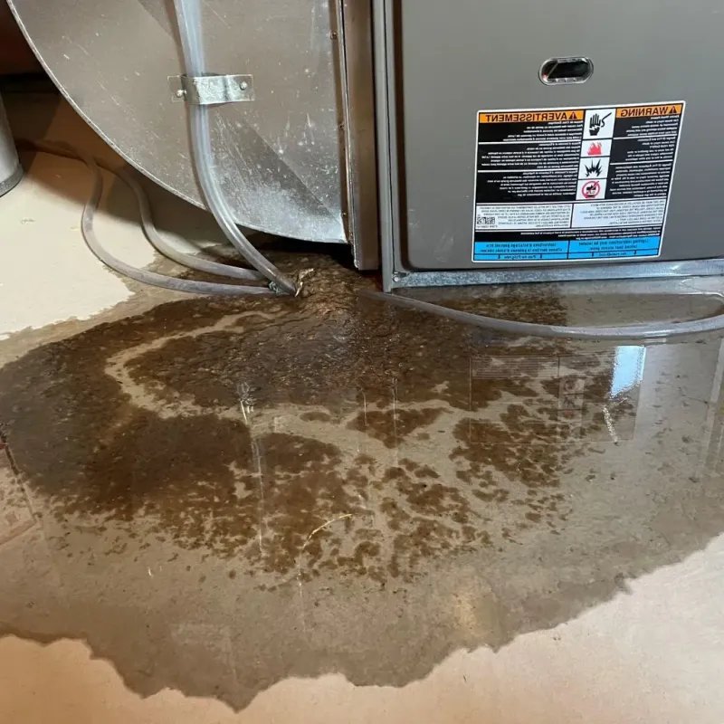 Pipe Burst and Leak Restoration in Outagamie County, WI