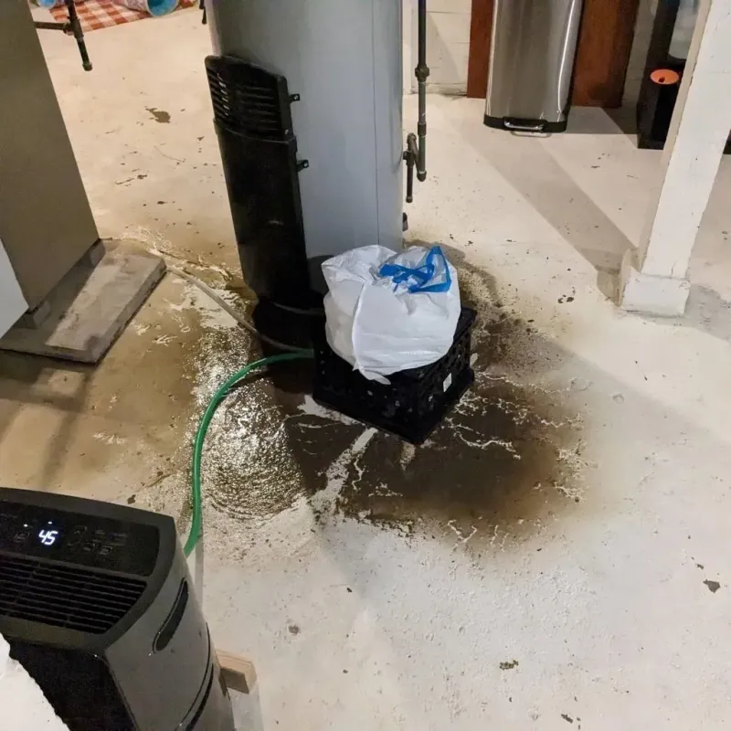 Sewage Backup Cleanup Service in Outagamie County, WI